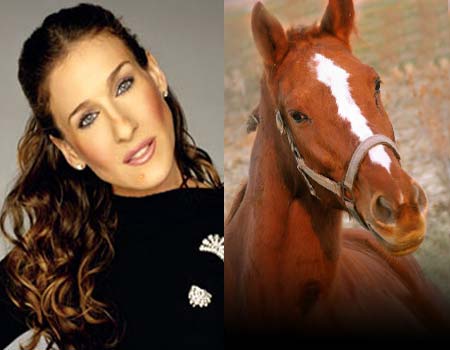 Sarah Jessica Parker..."Why the long face?"